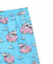 Shark - Image 2